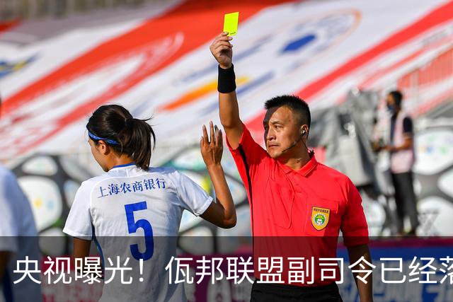央视曝光！佤邦联盟副司令已经落网，白应兰还能逃亡多久